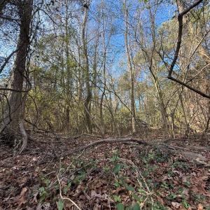 Photo #20 of Off Euray Moore Road (Lot 5), Warsaw, NC 6.2 acres