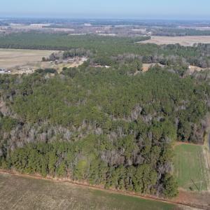 Photo #37 of Off Euray Moore Road (Lot 5), Warsaw, NC 6.2 acres