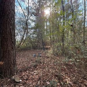 Photo #5 of Off Euray Moore Road (Lot 5), Warsaw, NC 6.2 acres