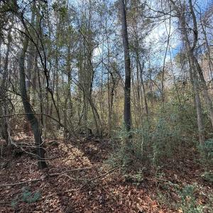 Photo #18 of Off Euray Moore Road (Lot 6), Warsaw, NC 5.6 acres