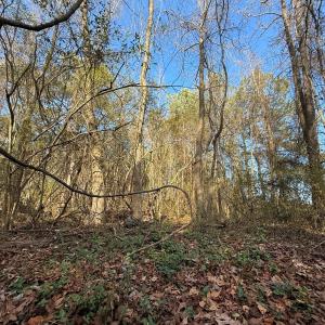 Photo #7 of Off Euray Moore Road (Lot 6), Warsaw, NC 5.6 acres