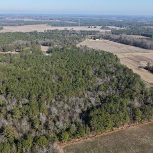 Photo #40 of Off Euray Moore Road (Lot 6), Warsaw, NC 5.6 acres