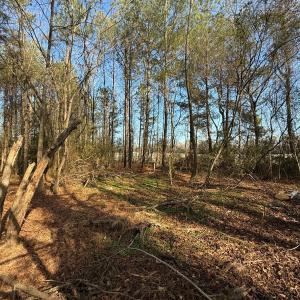 Photo #43 of Off Euray Moore Road (Lot 6), Warsaw, NC 5.6 acres