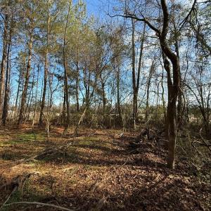 Photo #44 of Off Euray Moore Road (Lot 6), Warsaw, NC 5.6 acres