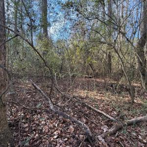Photo #19 of Off Euray Moore Road (Lot 7), Warsaw, NC 2.7 acres