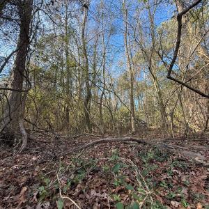 Photo #20 of Off Euray Moore Road (Lot 7), Warsaw, NC 2.7 acres