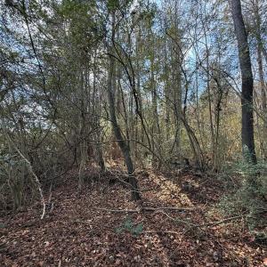 Photo #41 of Off Euray Moore Road (Lot 7), Warsaw, NC 2.7 acres