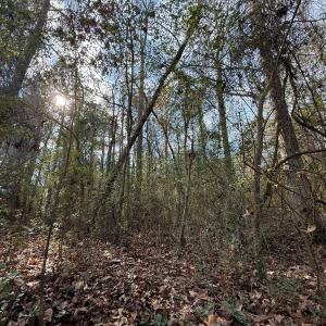 Photo #45 of Off Euray Moore Road (Lot 7), Warsaw, NC 2.7 acres