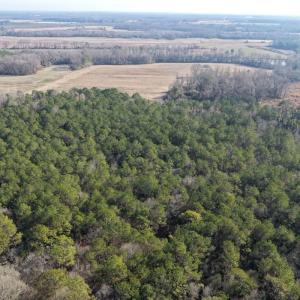 Photo #48 of Off Euray Moore Road (Lot 7), Warsaw, NC 2.7 acres