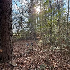 Photo #5 of Off Euray Moore Road (Lot 7), Warsaw, NC 2.7 acres