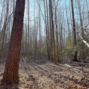 Photo #30 of Off Quaker Road, Dinwiddie, VA 30.0 acres