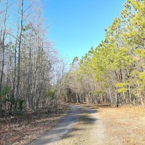 Photo #3 of Off Quaker Road, Dinwiddie, VA 30.0 acres