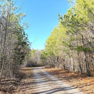 Photo #4 of Off Quaker Road, Dinwiddie, VA 30.0 acres