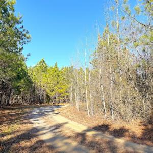 Photo #5 of Off Quaker Road, Dinwiddie, VA 30.0 acres