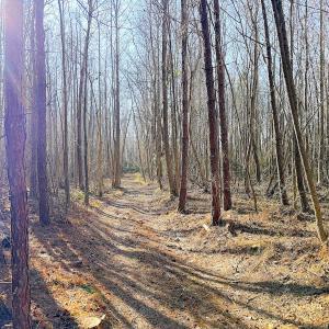 Photo #6 of Off Quaker Road, Dinwiddie, VA 30.0 acres