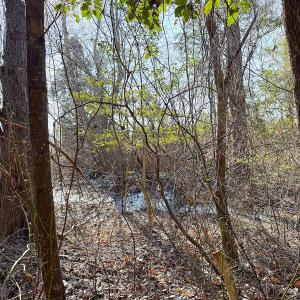 Photo #8 of Off Quaker Road, Dinwiddie, VA 30.0 acres