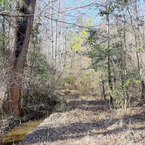 Photo #9 of Off Quaker Road, Dinwiddie, VA 30.0 acres