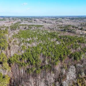 Photo #12 of Off Quaker Road, Dinwiddie, VA 30.0 acres