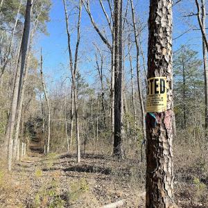 Photo #14 of Off Quaker Road, Dinwiddie, VA 30.0 acres