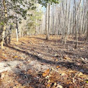 Photo #21 of Off Quaker Road, Dinwiddie, VA 30.0 acres