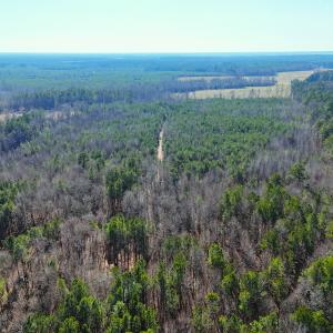 Photo #23 of Off Quaker Road, Dinwiddie, VA 30.0 acres