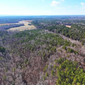 Photo #28 of Off Quaker Road, Dinwiddie, VA 30.0 acres