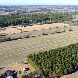 Photo #11 of Off Joe Gardner Road, Grifton, NC 28.0 acres