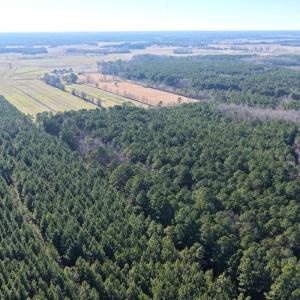 Photo #16 of Off Joe Gardner Road, Grifton, NC 28.0 acres