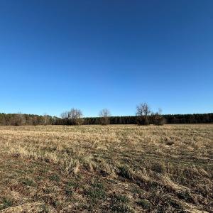 Photo #19 of Off Joe Gardner Road, Grifton, NC 28.0 acres