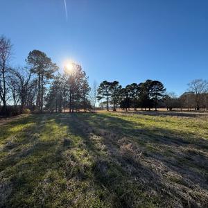 Photo #20 of Off Joe Gardner Road, Grifton, NC 28.0 acres