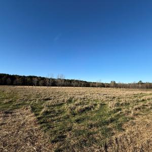 Photo #21 of Off Joe Gardner Road, Grifton, NC 28.0 acres