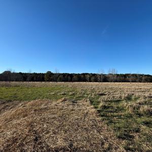 Photo #22 of Off Joe Gardner Road, Grifton, NC 28.0 acres
