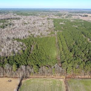 Photo #23 of Off Joe Gardner Road, Grifton, NC 28.0 acres