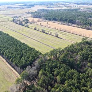 Photo #26 of Off Joe Gardner Road, Grifton, NC 28.0 acres