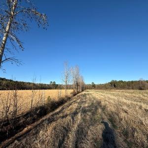Photo #29 of Off Joe Gardner Road, Grifton, NC 28.0 acres