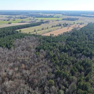 Photo #33 of Off Joe Gardner Road, Grifton, NC 28.0 acres