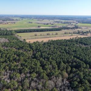 Photo #35 of Off Joe Gardner Road, Grifton, NC 28.0 acres