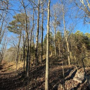 Photo #41 of Off Joe Gardner Road, Grifton, NC 28.0 acres