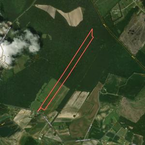 Photo #44 of Off Joe Gardner Road, Grifton, NC 28.0 acres