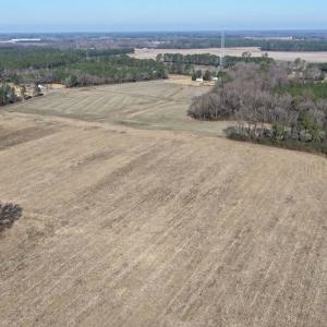 Photo #14 of Lot 1 Off of  Euray Moore Road, Warsaw, NC 10.1 acres