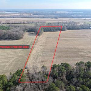 Photo #2 of Lot 1 Off of  Euray Moore Road, Warsaw, NC 10.1 acres