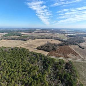 Photo #3 of Lot 1 Off of  Euray Moore Road, Warsaw, NC 10.1 acres