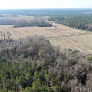 Photo #26 of Lot 1 Off of  Euray Moore Road, Warsaw, NC 10.1 acres