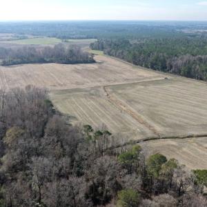 Photo #27 of Lot 1 Off of  Euray Moore Road, Warsaw, NC 10.1 acres