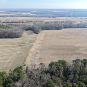 Photo #5 of Lot 1 Off of  Euray Moore Road, Warsaw, NC 10.1 acres