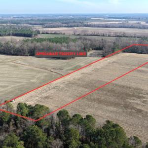 Photo #6 of Lot 1 Off of  Euray Moore Road, Warsaw, NC 10.1 acres