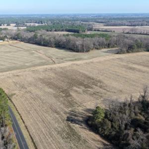 Photo #7 of Lot 1 Off of  Euray Moore Road, Warsaw, NC 10.1 acres