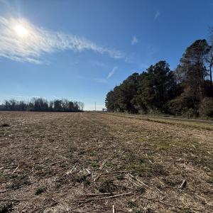Photo #16 of Lot 2 Off of Euray Moore Road, Warsaw, NC 10.1 acres
