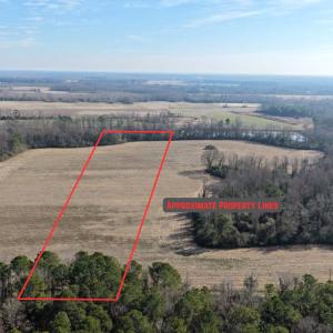 Photo #2 of Lot 2 Off of Euray Moore Road, Warsaw, NC 10.1 acres