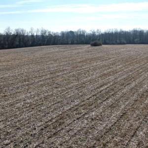 Photo #27 of Lot 2 Off of Euray Moore Road, Warsaw, NC 10.1 acres